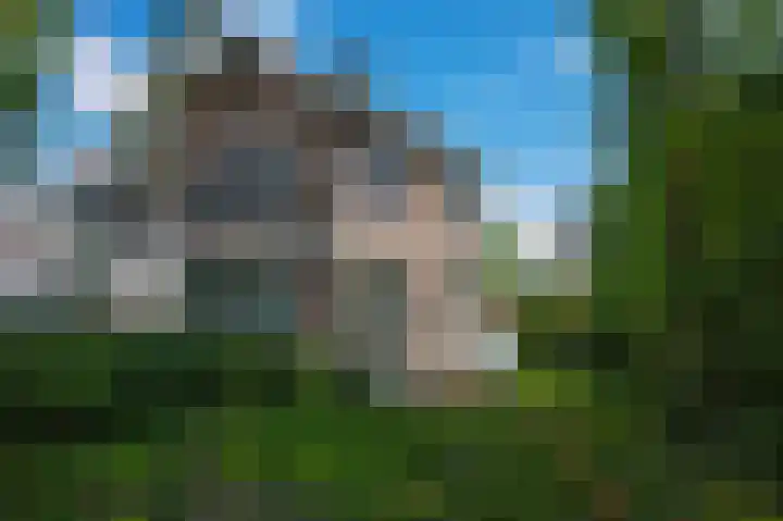 Hulkesteinseweg 35 Arnhem thumbnail 51