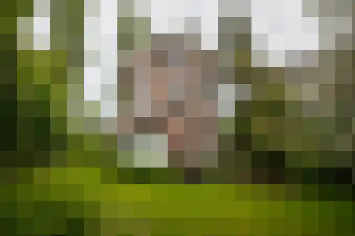 Hulkesteinseweg 35 Arnhem thumbnail 52