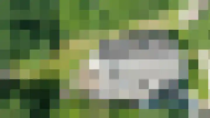 Hulkesteinseweg 35 Arnhem thumbnail 58