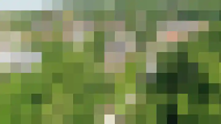 Hulkesteinseweg 35 Arnhem thumbnail 59