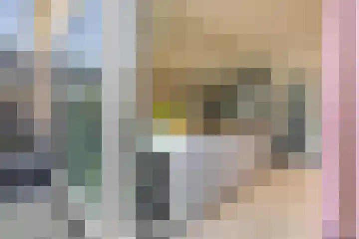 Hulkstraat 103 Den Helder thumbnail 13