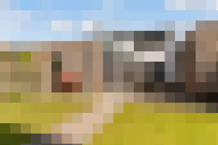 Hulkstraat 6 Almere thumbnail 35