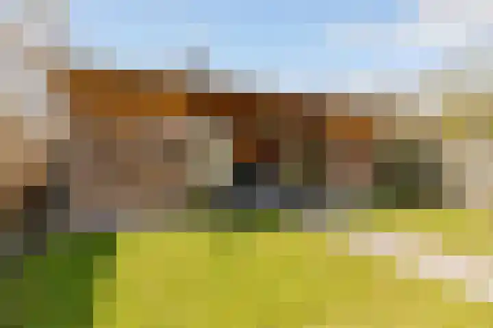 Hulkstraat 6 Almere thumbnail 5