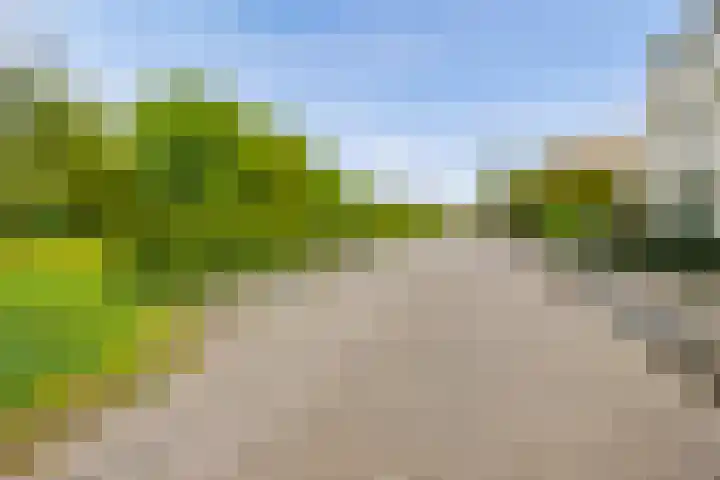 Hulkstraat 6 Almere thumbnail 55