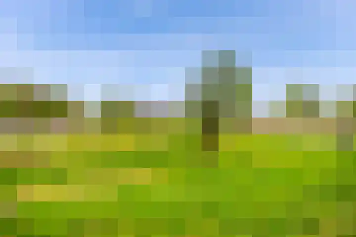 Hulkstraat 6 Almere thumbnail 57
