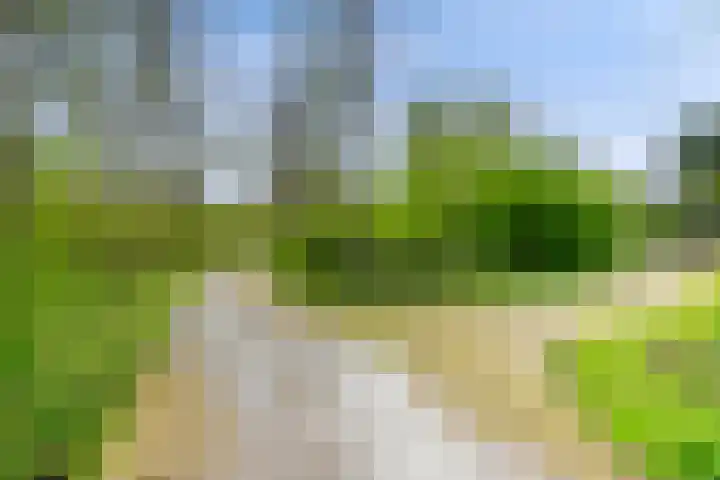 Hulkstraat 6 Almere thumbnail 58
