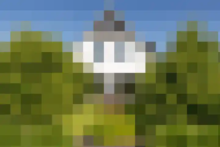 Hullenkampweg 9 Uddel thumbnail 4