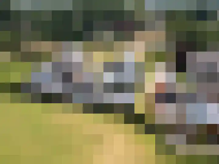 Hullenkampweg 9 Uddel thumbnail 5