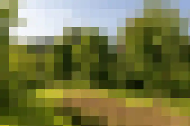Hullenkampweg 9 Uddel thumbnail 6