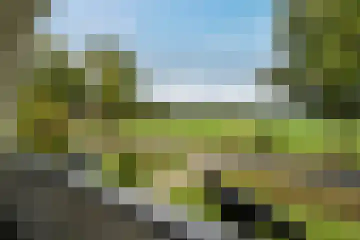 Hullenweg 31 Roden thumbnail 51