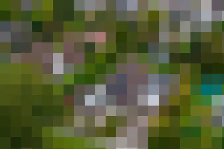 Hullenweg 31 Roden thumbnail 56
