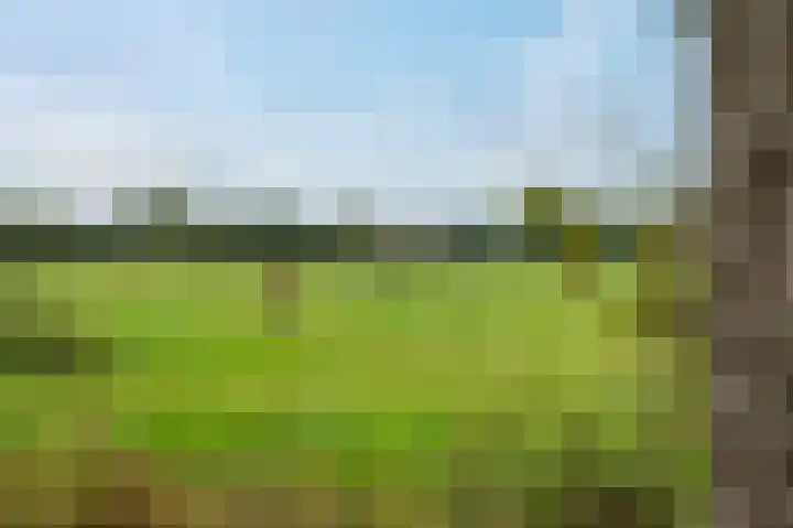 Hullenweg 31 Roden thumbnail 9