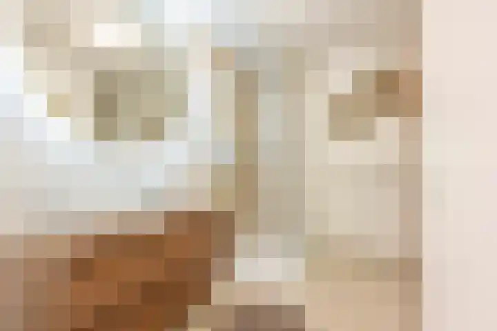 Huls 46 b Simpelveld thumbnail 14