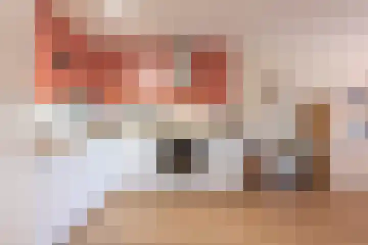 Huls 46 b Simpelveld thumbnail 5