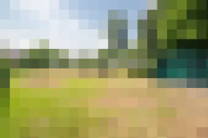 Huls 63 Simpelveld thumbnail 24