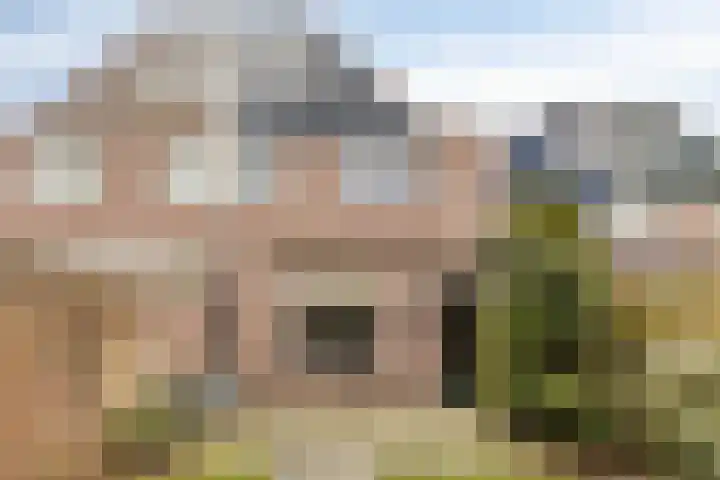 Hulsbeek 38 Ede thumbnail 37