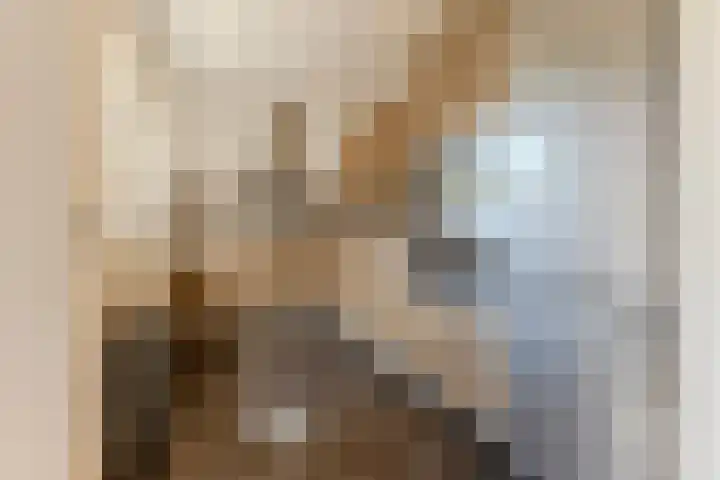 Hulst 105 Geldrop thumbnail 11