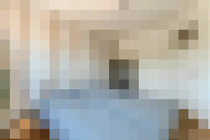 Hulst 105 Geldrop thumbnail 16