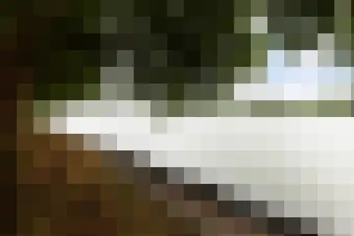 Hulst 105 Geldrop thumbnail 35