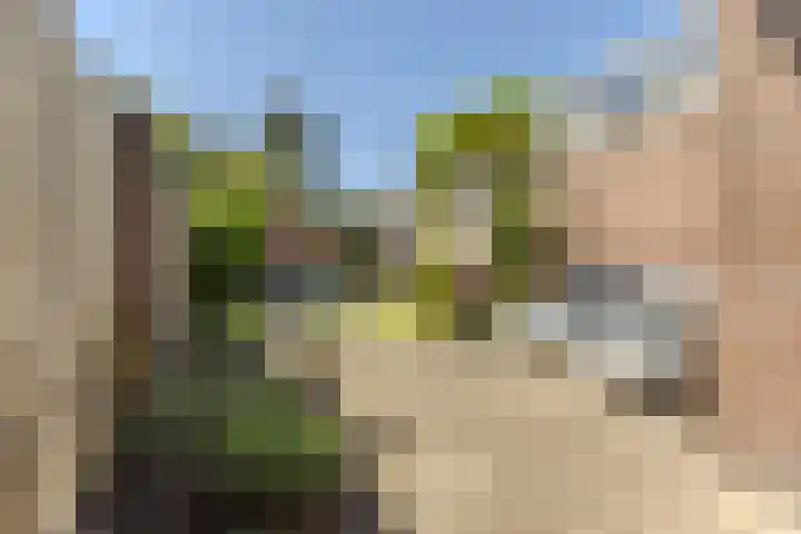 Hulst 105 Geldrop thumbnail 39