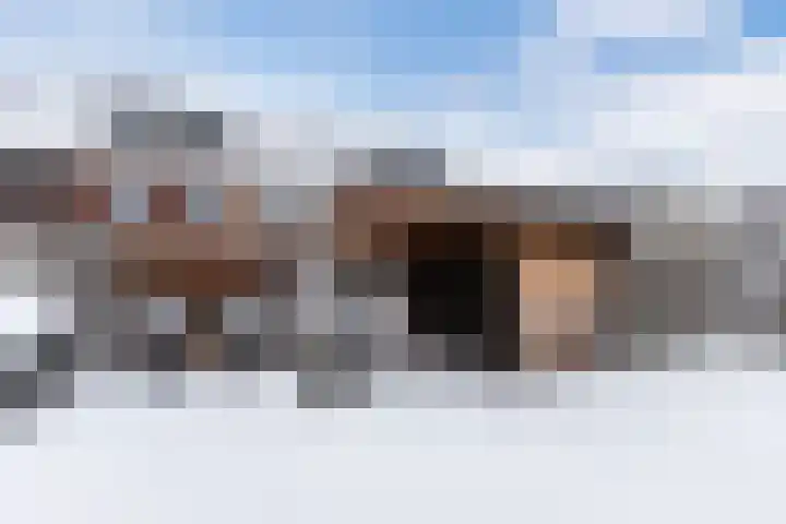 Hulst 105 Geldrop thumbnail 40