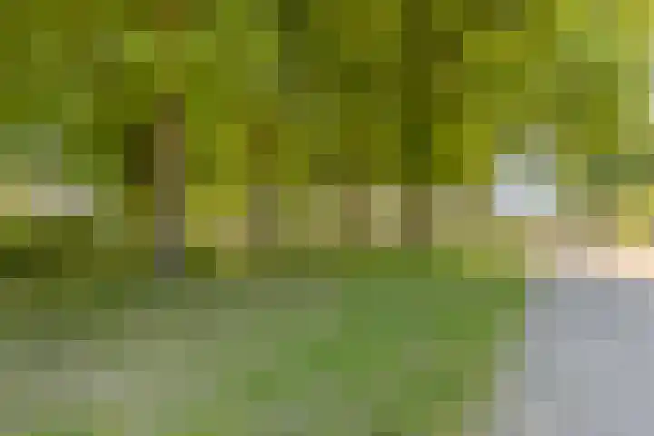 Hulst 105 Geldrop thumbnail 44