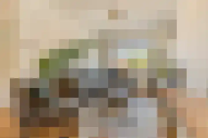 Hulst 105 Geldrop thumbnail 5