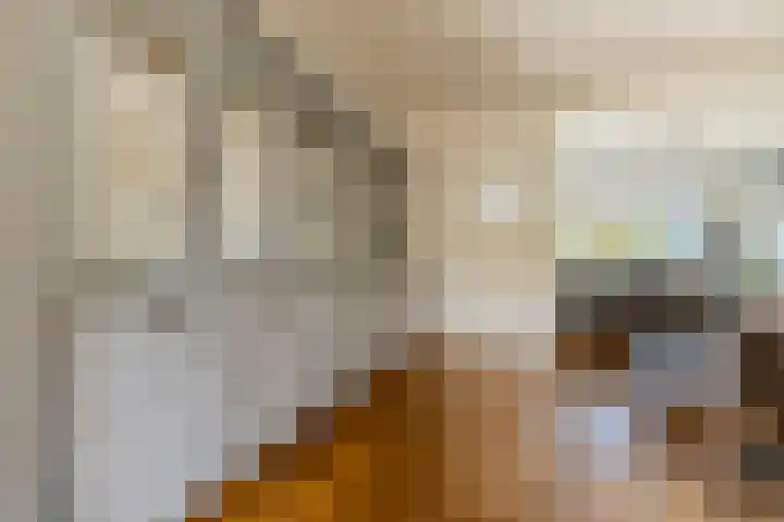 Hulst 105 Geldrop thumbnail 7