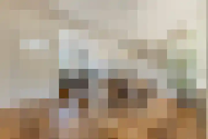 Hulst 105 Geldrop thumbnail 9