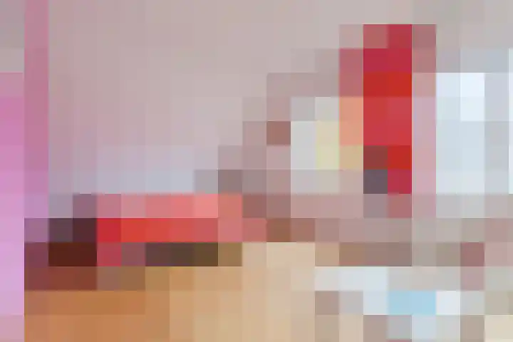 Hulst 28 Best thumbnail 23
