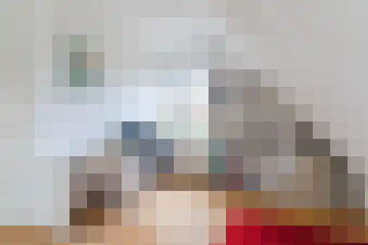Hulst 28 Best thumbnail 28