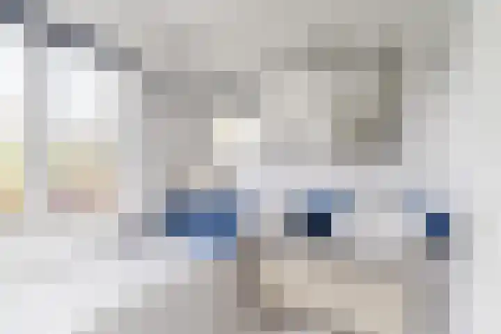 Hulst 28 Best thumbnail 30