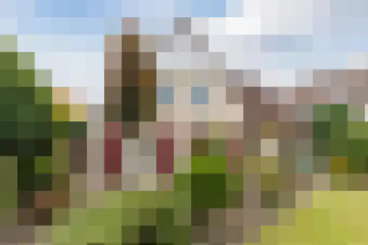 Hulst 28 Best thumbnail 33
