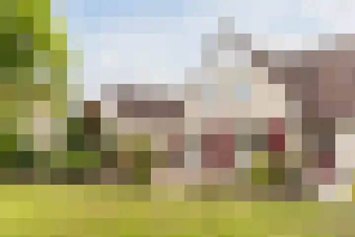 Hulst 28 Best thumbnail 34