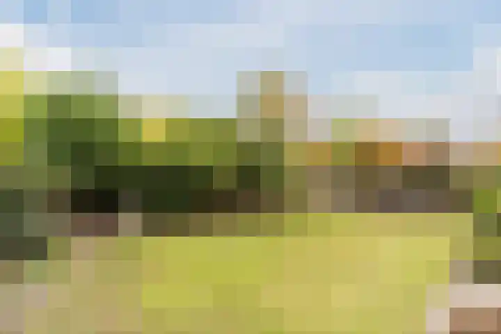 Hulst 28 Best thumbnail 35