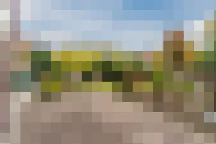 Hulst 28 Best thumbnail 36