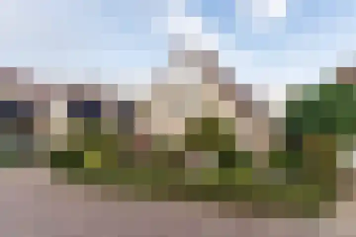 Hulst 28 Best thumbnail 38