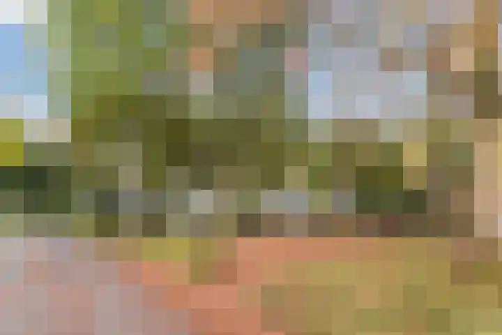 Hulst 28 Best thumbnail 39