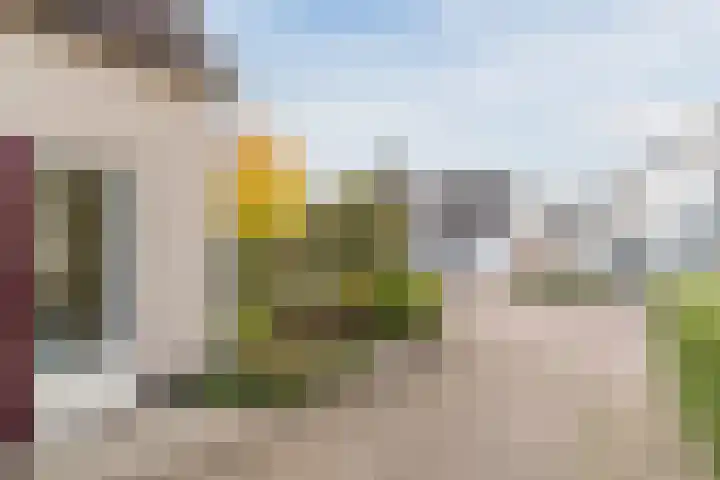 Hulst 28 Best thumbnail 7