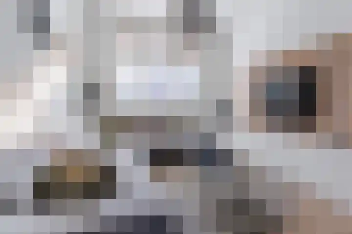 Hulst 55 Geldrop thumbnail 17