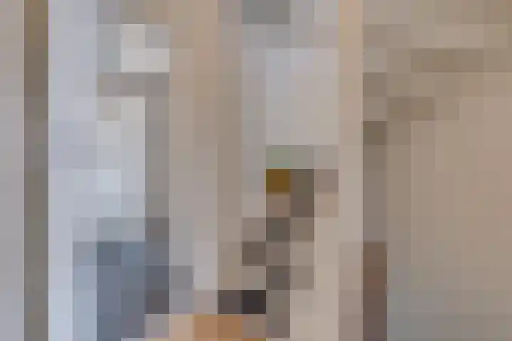 Hulst 55 Geldrop thumbnail 19
