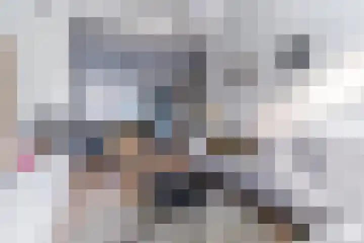 Hulst 55 Geldrop thumbnail 19