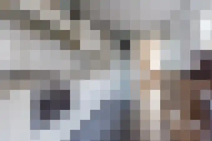 Hulst 55 Geldrop thumbnail 25