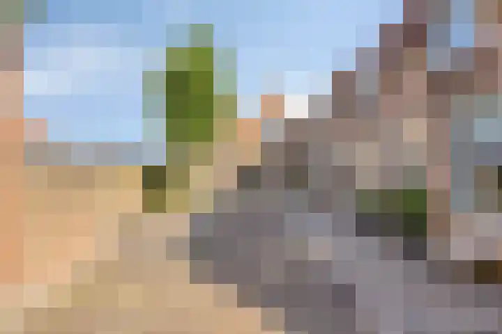 Hulst 55 Geldrop thumbnail 30