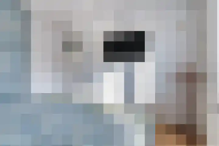Hulst 55 Geldrop thumbnail 34