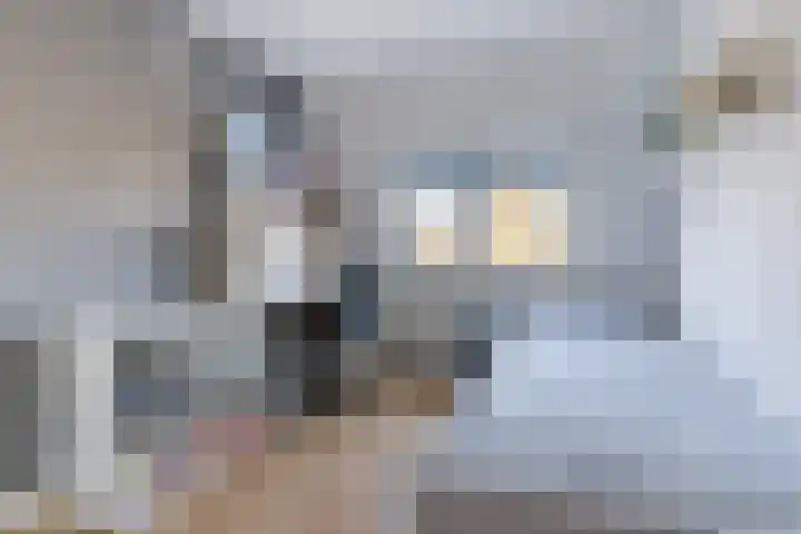 Hulst 55 Geldrop thumbnail 35