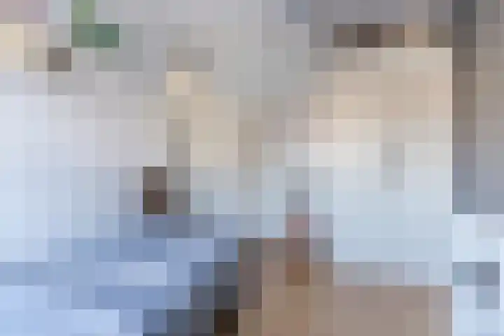 Hulst 55 Geldrop thumbnail 36