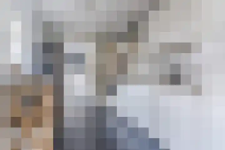 Hulst 55 Geldrop thumbnail 4