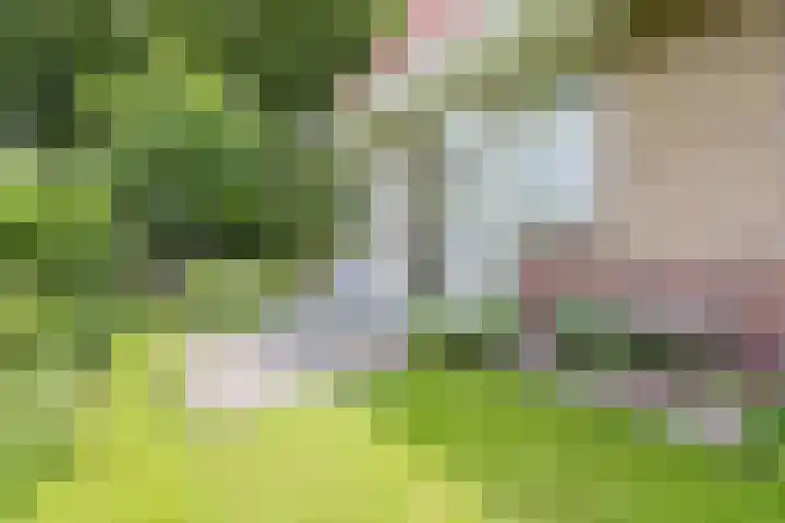 Hulst 55 Geldrop thumbnail 40