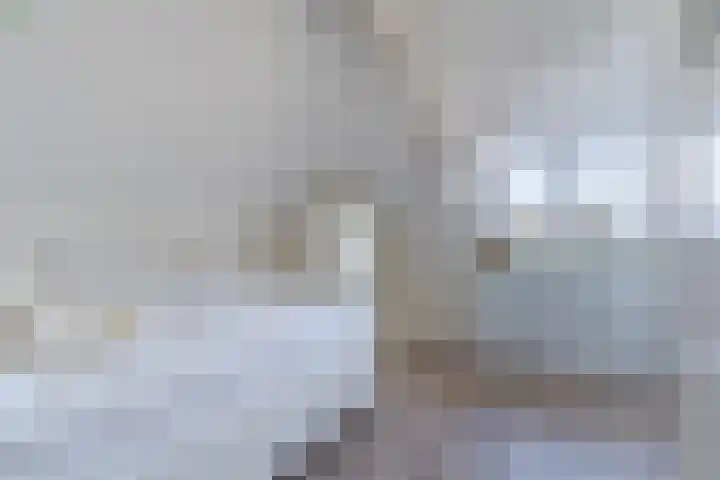 Hulst 55 Geldrop thumbnail 43